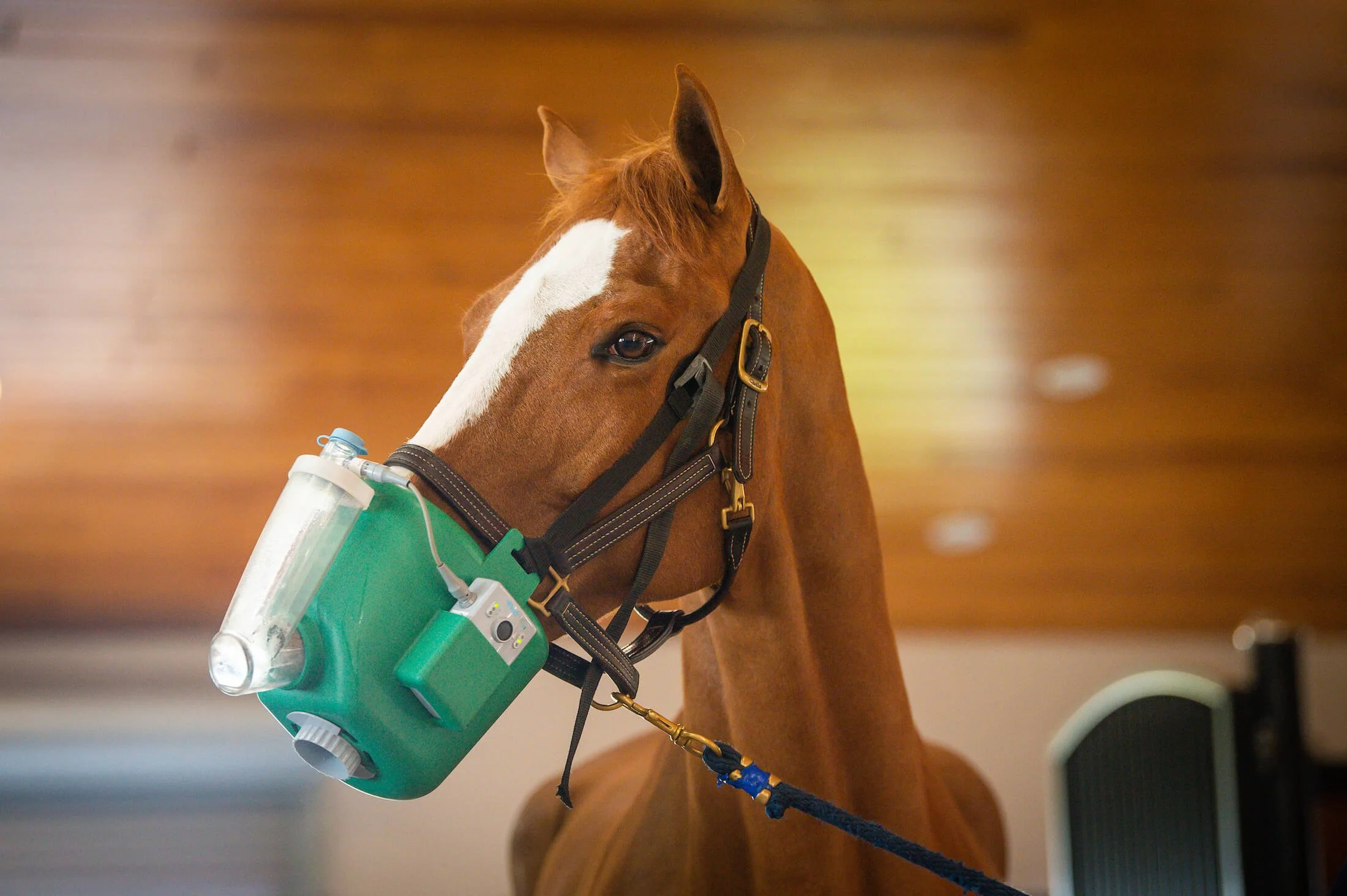 Flexineb USA Portable Equine Nebulizer